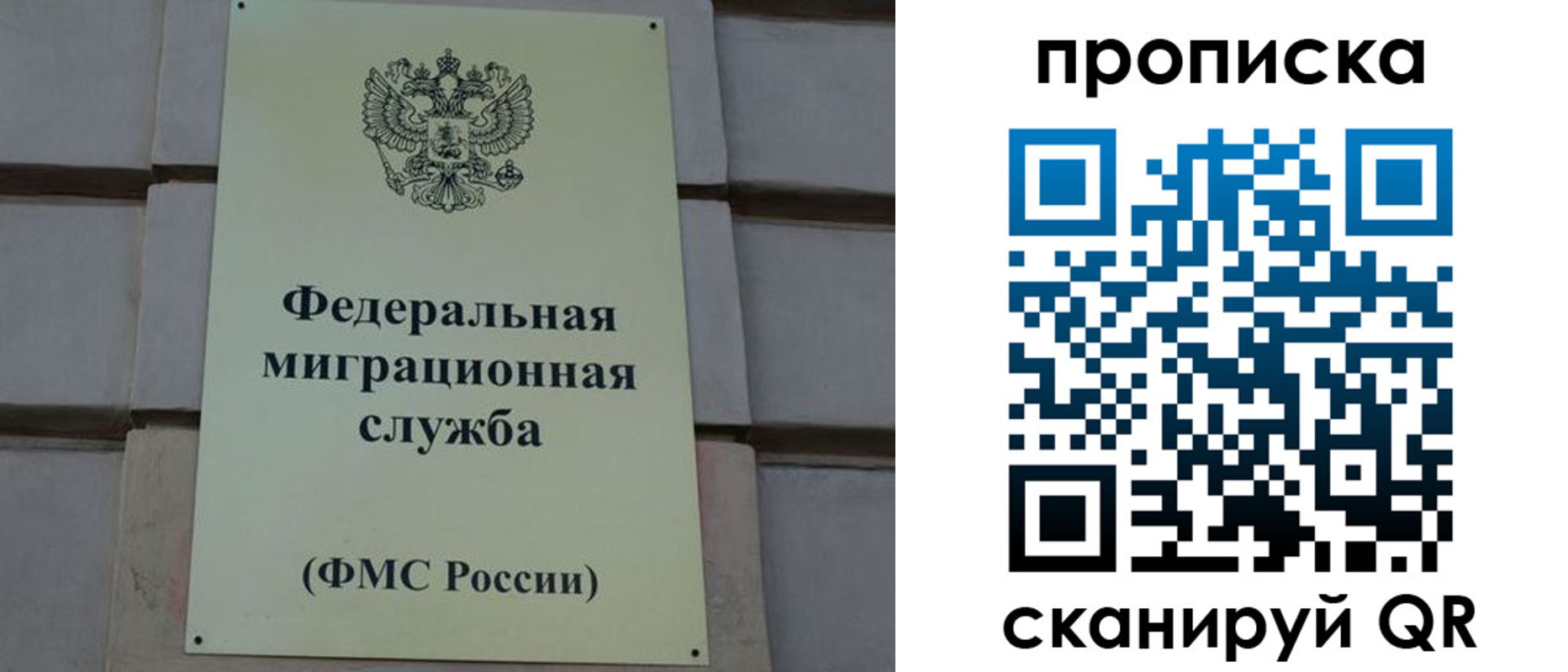 прописка поиск в Кувшиново